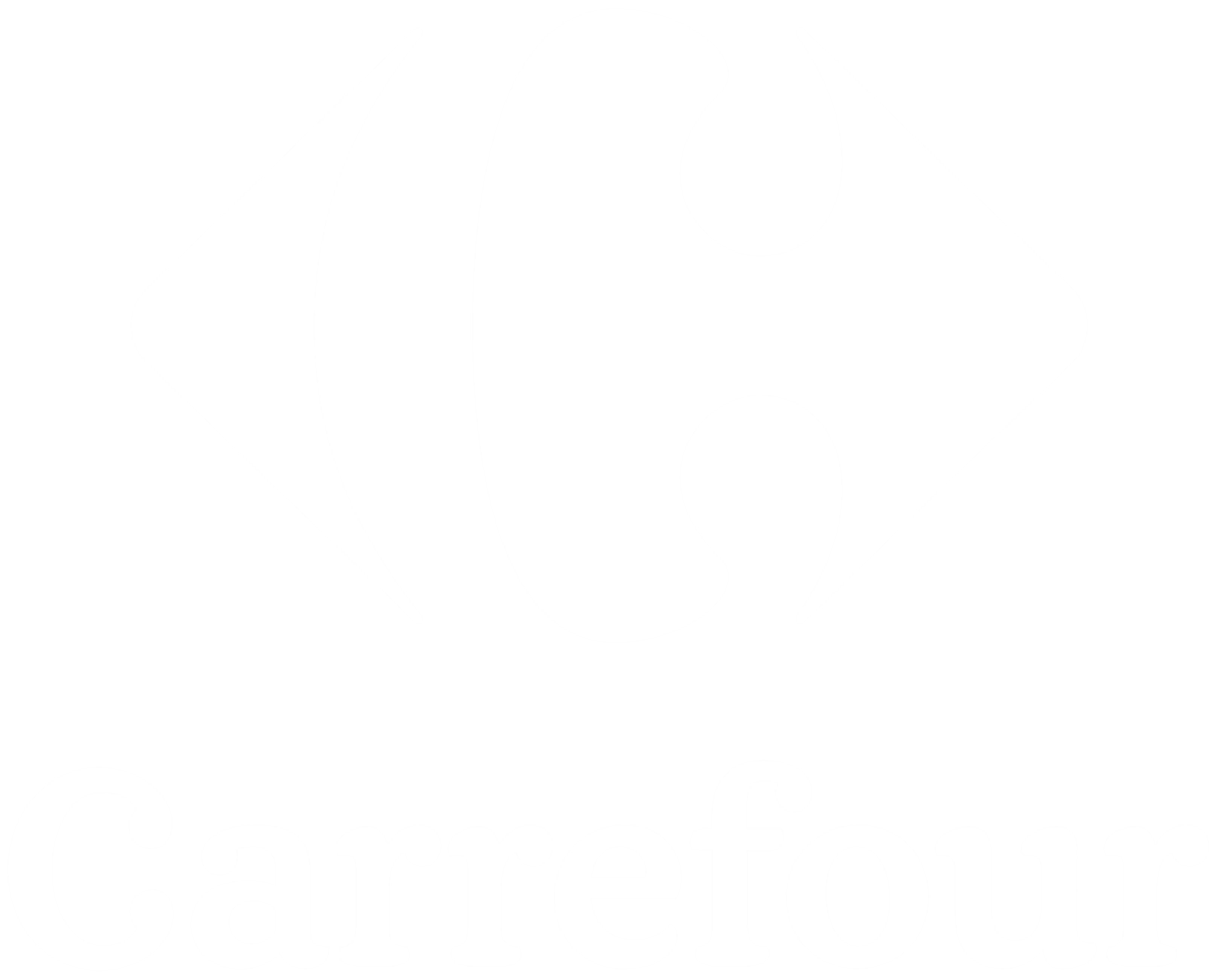 carrefour supermarket